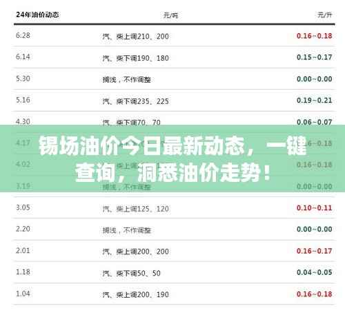 锡场油价今日最新动态,一键查询,洞悉油价走势!