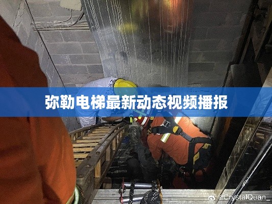 弥勒电梯最新动态视频播报