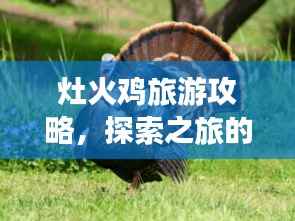 灶火鸡旅游攻略，探索之旅的终极指南