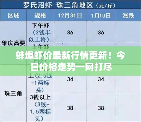 蚌埠虾价最新行情更新!今日价格走势一网打尽