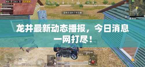 龙井最新动态播报,今日消息一网打尽!
