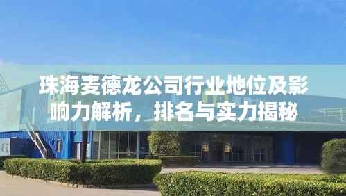 珠海麦德龙公司行业地位及影响力解析,排名与实力揭秘